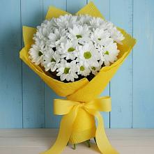 Букет цветов из:  Хризантемы в Красновишерске