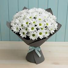 Букет цветов из:  Хризантемы в Красновишерске