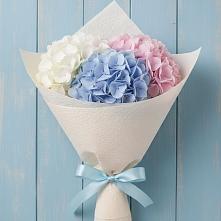 Букет цветов из:  Гортензия в Красновишерске