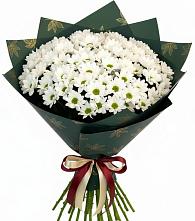 Букет цветов из:  Хризантемы в Красновишерске