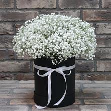 Цветочная композиция из Гипсофила в шляпной коробке #REPLACE_PRED# Красновишерске